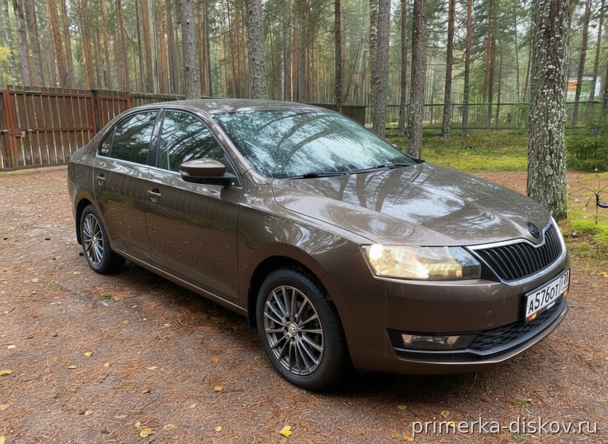 Примерка дисков на SKODA Rapid