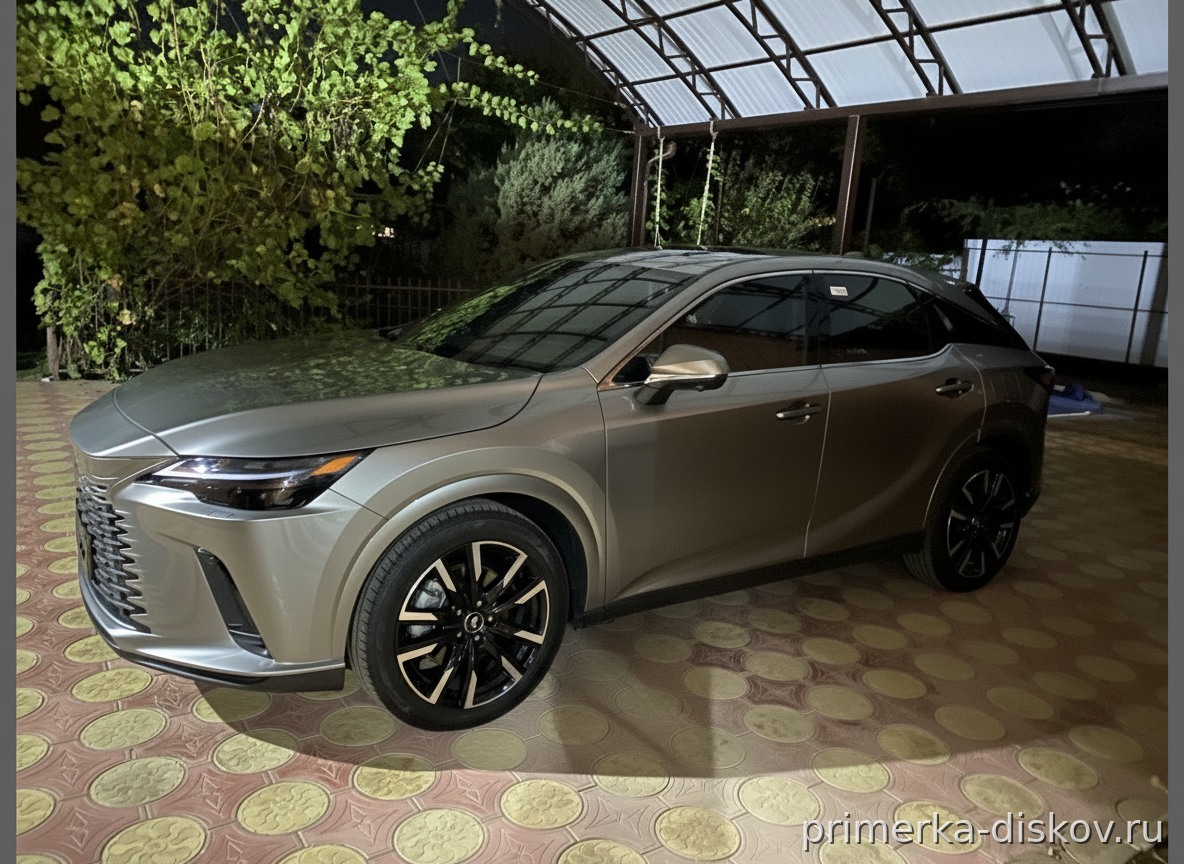 LEXUS RX V SUV 2022-2026 — После примерки