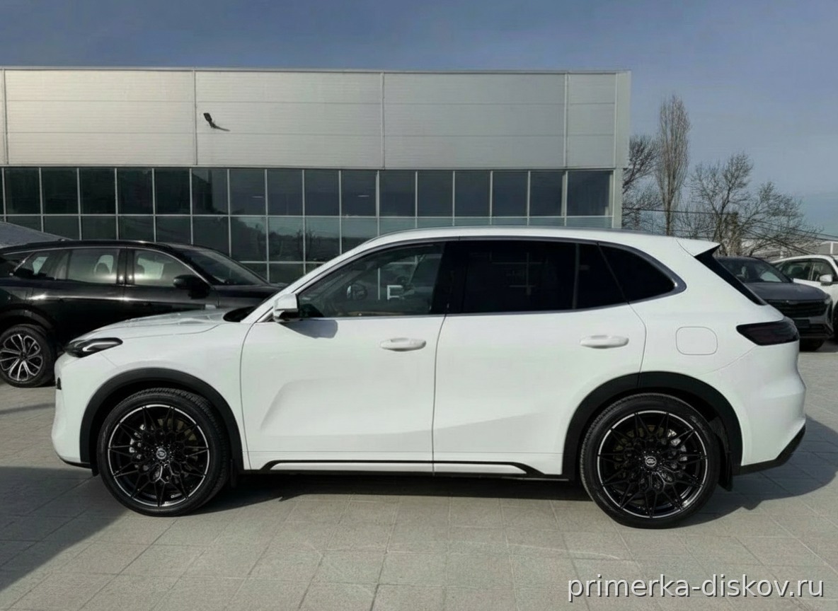 Примерка дисков на EXEED LX SUV 2019-2026